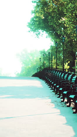 a row of benches in a park