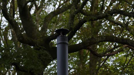 mid shot of a metal flue chimney with large tree behind