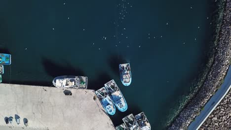 Boat-at-harbour-parking-birds-ocean