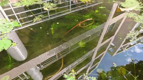 time-lapse of a bridge's reflection in rippling water