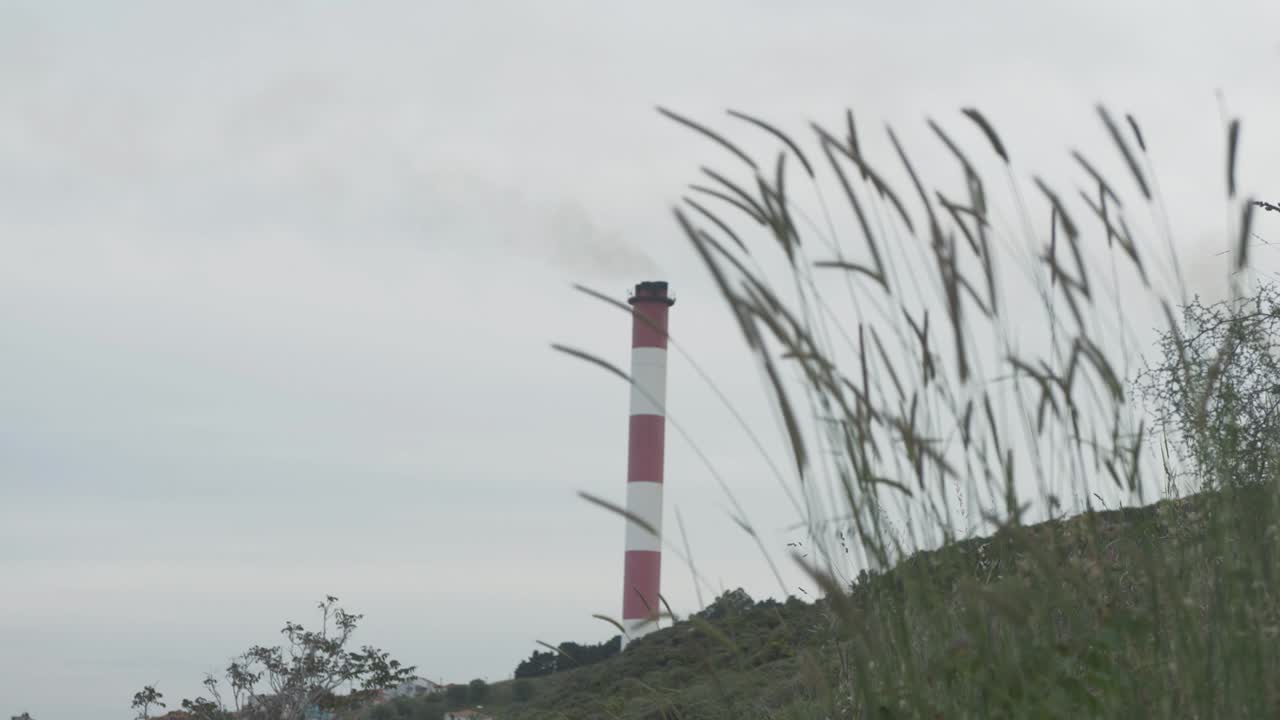전경에 자연 식물이 있는 공장 굴뚝