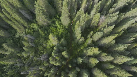 breathtaking aerial top down view looking on a pair of hikers traveling through the dense woods of labrador, canada