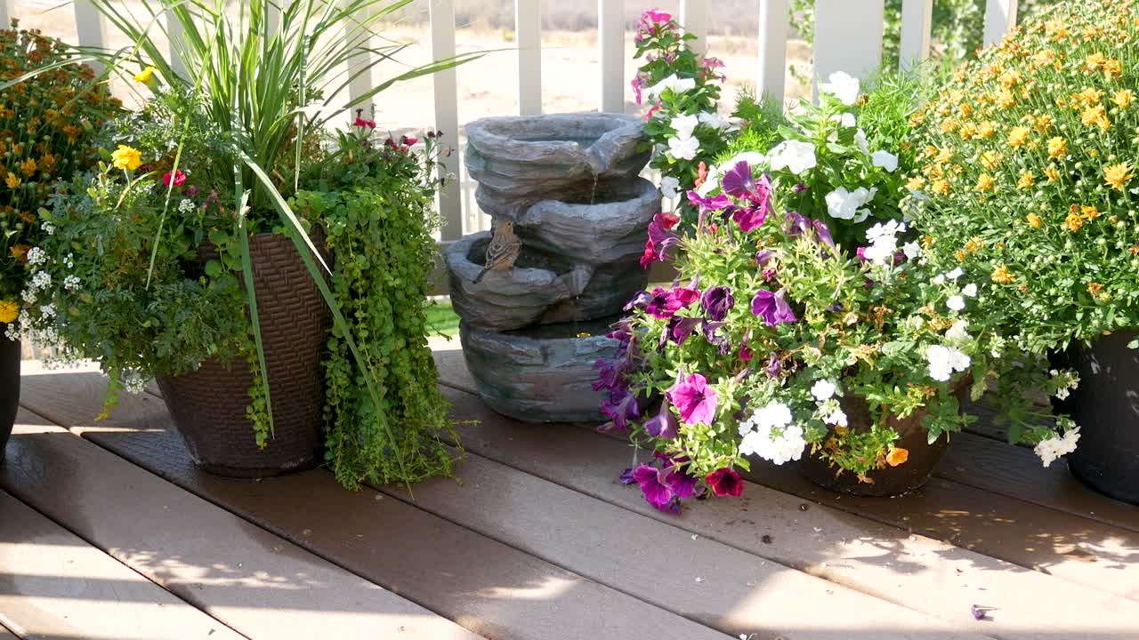 집 핀치는 술을 마시기 위해 뒷마당 분수대를 방문합니다. - 확대/축소