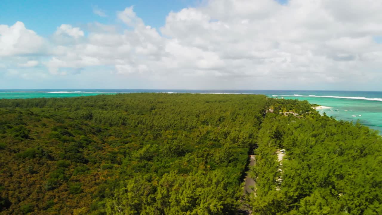 vista aérea de los árboles en le morne brabant que ofrece una vista impresionante de la exuberante vegetación que cubre el paisaje