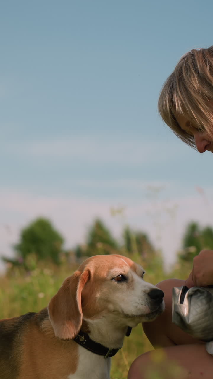 동물 관리자는 빛 날 광활한 잔디에서 개에게 먹이를 주고, 드리고, 개와 사랑스러운 순간을 나누고, 혀를 내밀고 사랑스럽게 쳐다보고, 초록색과 빛으로 가득 찬 환경을 공유합니다.