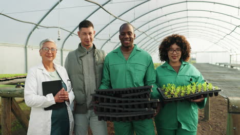 people, teamwork and greenhouse plants