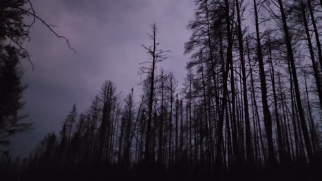 Eerie-Burned-Forest-Amidst-Thunderstorm,-Sudbury,-Canada