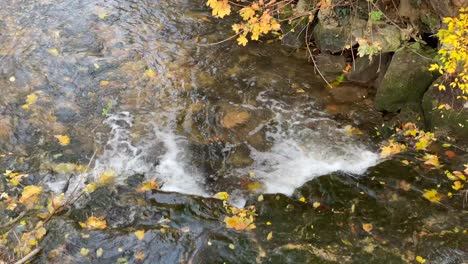 Pequeño-Arroyo-Con-Agua-Cristalina-En-Otoño-Y-Pequeños-Rápidos,-Parece-Que-Hace-Espuma,-Vista-Desde-Arriba