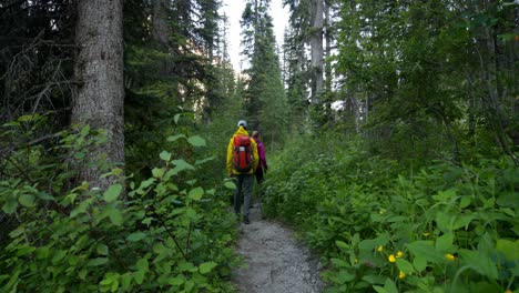 Rückansicht-Eines-Wanderpaares,-Das-Auf-Einem-Pfad-Im-Dichten-Wald-Spaziert,-4k