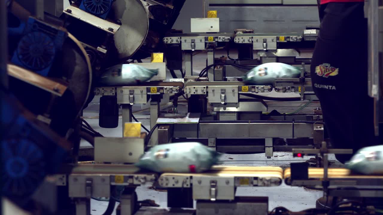 Conveyer belt moving freshly packaged coffee beans for bundling at a factory