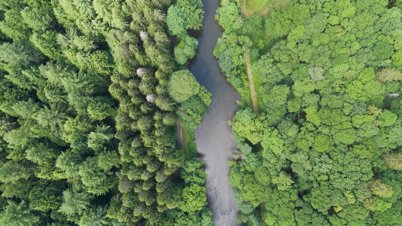 vista aérea del bosque y el río