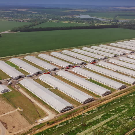 aerial view on a farm surrounded with agriculture fields. big territory with many modern buildings for poultry on a sunny summer day.