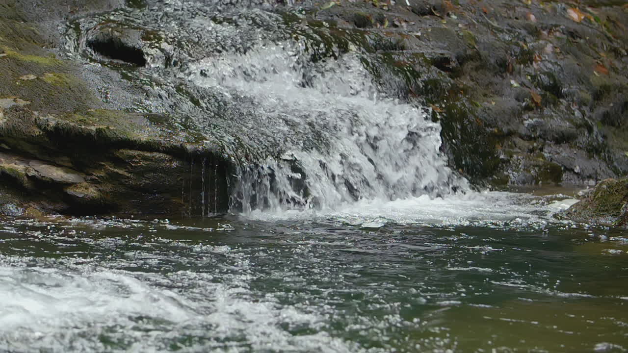 숲 속 의 하천 에 있는 작은 폭포