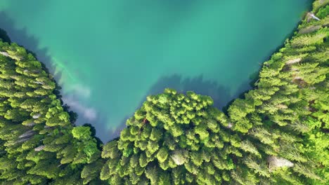 Schwarzer-Seenwald,-Luftpanorama,-Nationalpark-Montenegro