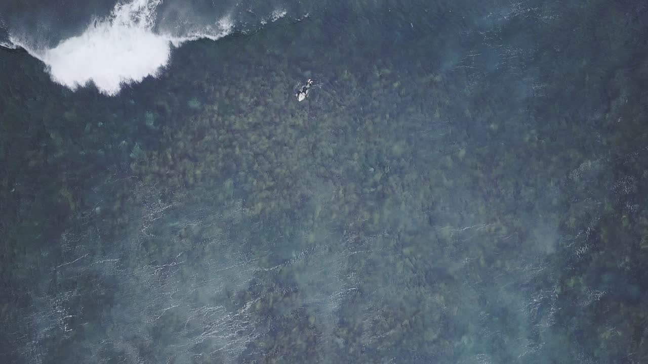 Top down aerial view of a surfer catching wave in Australia