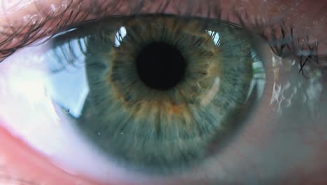 toma súper cercana del globo ocular femenino humano.