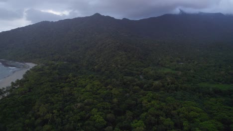 Selva-Tropical-Y-Playa-En-El-Parque-Nacional-Daintree-En-El-Lejano-Norte-De-Queensland,-Australia---Toma-Aérea-De-Drones