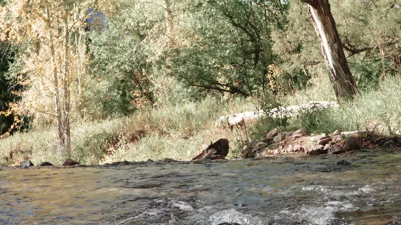 Rallentatore di una jeep mentre attraversa il ruscello schizzando acqua ovunque