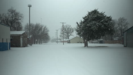 snowflakes fall in cinematic slow motion on the ground and trees during winter snow storm