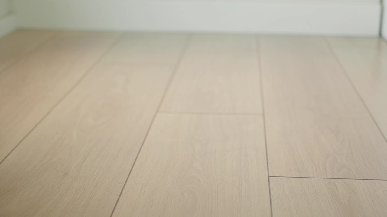 라미네이트 바닥에 초록색 축구공