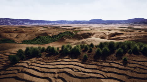 desert landscape in crater national park