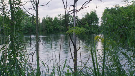 Camera-tracking-forward-at-the-shore-of-the-Danube-near-Ulm,-Germany