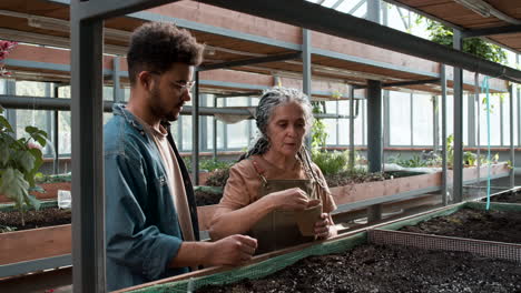 gardeners inside a greenhouse