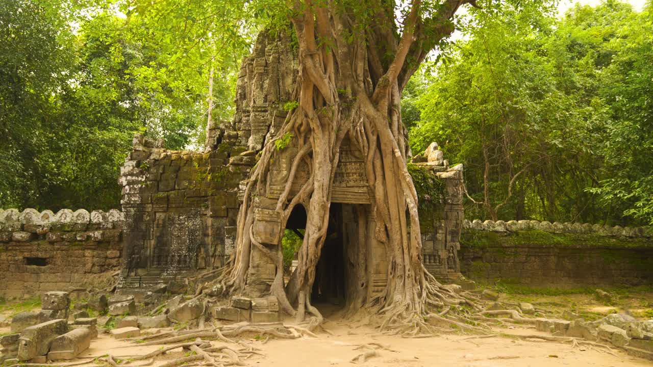 antiguas ruinas abandonadas del templo de ta som en el complejo de angkor wat, siem reap, camboya