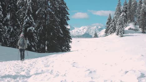 Female-Backpacker-Nordic-Walking-Alone-In-Snow-With-Snowy-Mountains-And-Pine-Trees-In-Background