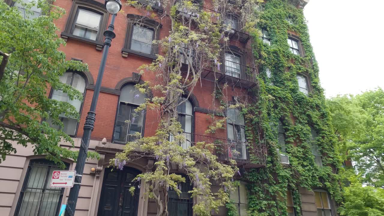 여름의 화창한 날 뉴욕시에 있는 두 개의 벽돌 건물의 확대 사진