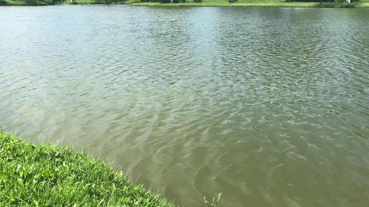 공원의 연못에서 움직이는 물의 스타일