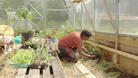 slider reveal shot of an asian woman planting in her greenhouse, sweden