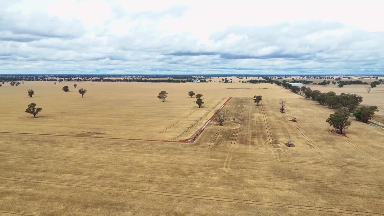 Aerial approaching an old windmill and water tank in a wheat paddock near Savernake