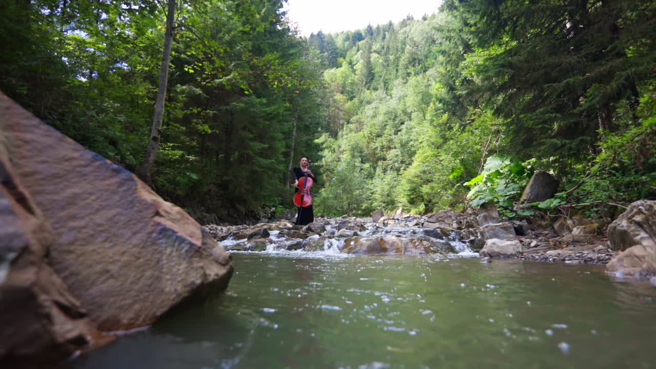 Young woman cello player. Beautiful cellist classical musician with musical instrument on nature