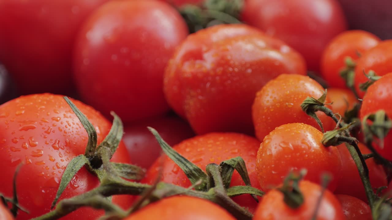 Colorful organic tomatoes. Mix tomatoes background, Several varieties of sliced tomatoes top view. Different assorted colorful tomatoes, heirloom, cherry, rose, beefsteak, cocktail, grape, purple.
