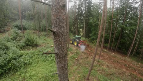 drone shot of a forestry mulcher in the forest after a bark beetle infestation