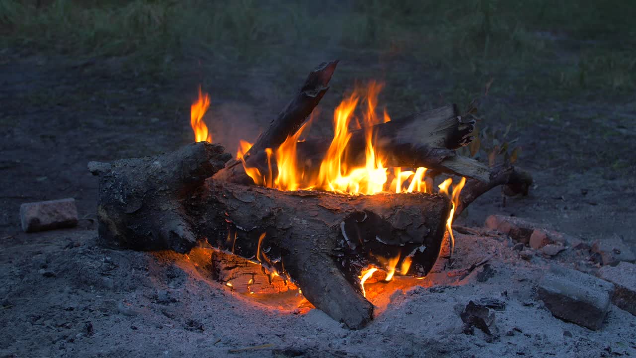 fondo de fuego del campamento bucle sin costuras