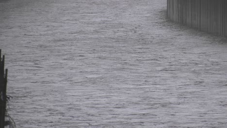 Wasser-Fließt-Den-Fluss-Hinunter