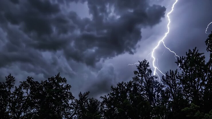 Notte tempestosa con fulmini sugli alberi