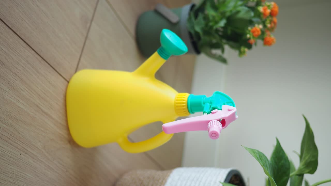 Watering Can and Houseplant