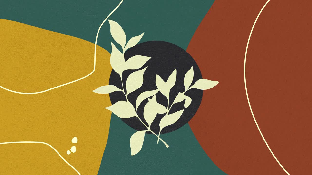 fondo blanco retro minimalista