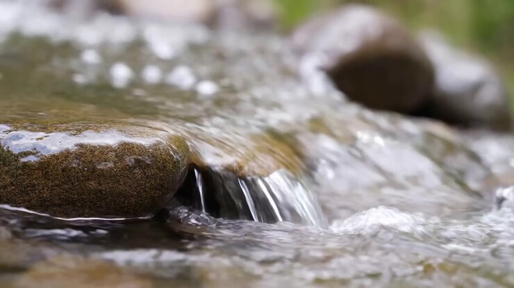 Clear stream water flows over smooth mossy rocks in shallow creek, seen from low waterline view with soft blur, bright reflections, muted forest colors, wet stone texture, tranquil outdoor mood