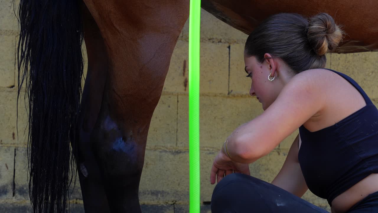 Handheld shot of a woman gently caressing a horse's leg after bathing inside the stable