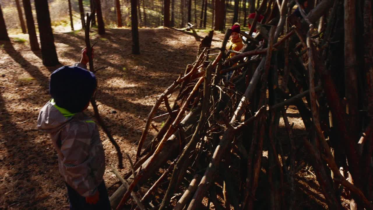 Børn bygger en pindhytte i en solrig fyrreskov