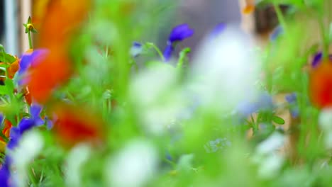beautiful flowers and a pile of wood