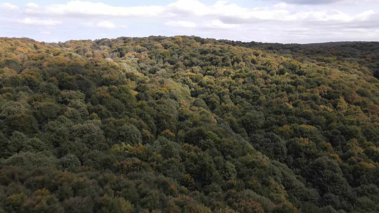 Vista aerea di foresta naturale