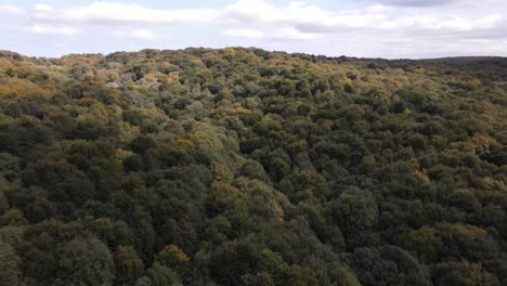 Vista-Aerea-Bosque-Natural-Naturaleza