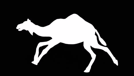 a camel running on black background with alpha channel included at the end of the video, 3d animation, side view, animated animals, seamless loop animation