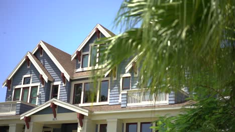 wealthy modern blue wooden façade property roof line behind bokeh garden palm tree leaves