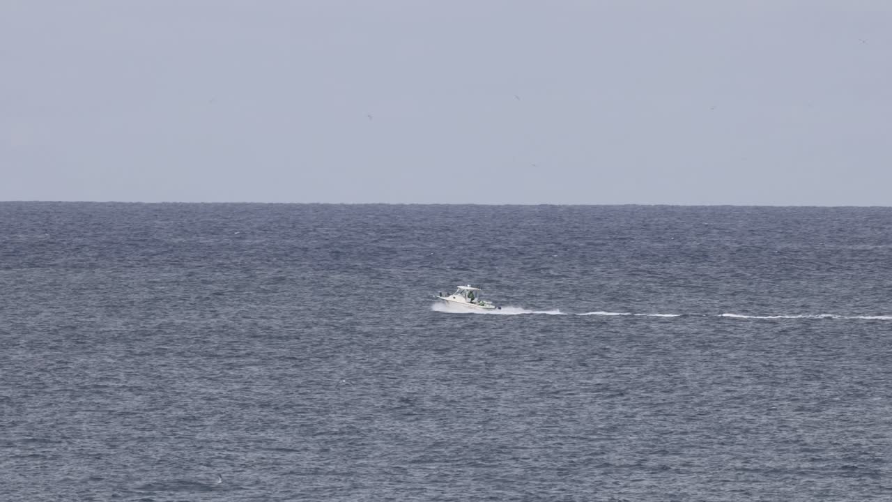 평온 한 바다 표면 에서 빠르게 움직이는 스피드 보트